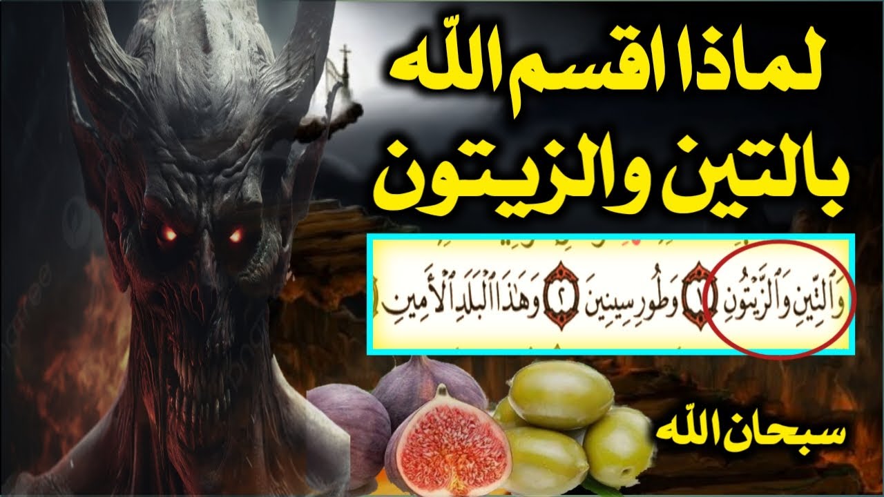س و ج / لماذا أقسم الله تعالى بالتين والزيتون سبحان الله/ أسئلة دينية صعبة جدا واجوبتها/ س