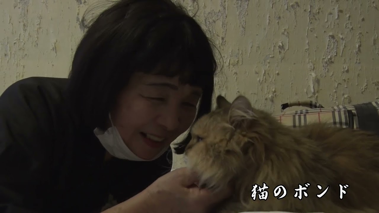 名物女将奮闘記〜新型コロナに負けるな〜