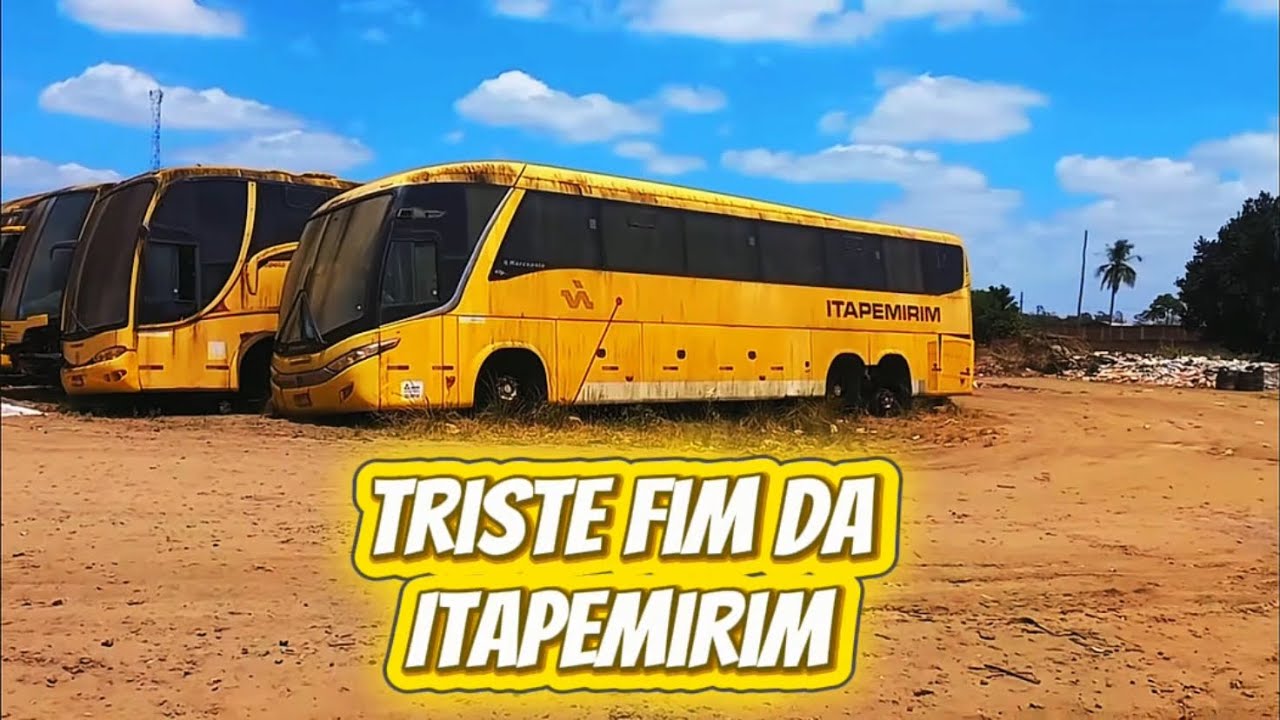 Itapemirim Jogada As Traças, Situação Dos Ônibus 