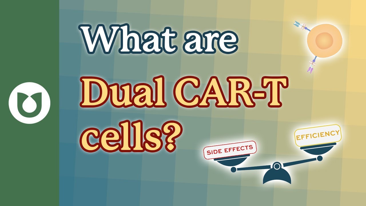 Dual CAR-T Cells Explained: Could Two Targets Be Better Than One? #myeloma
