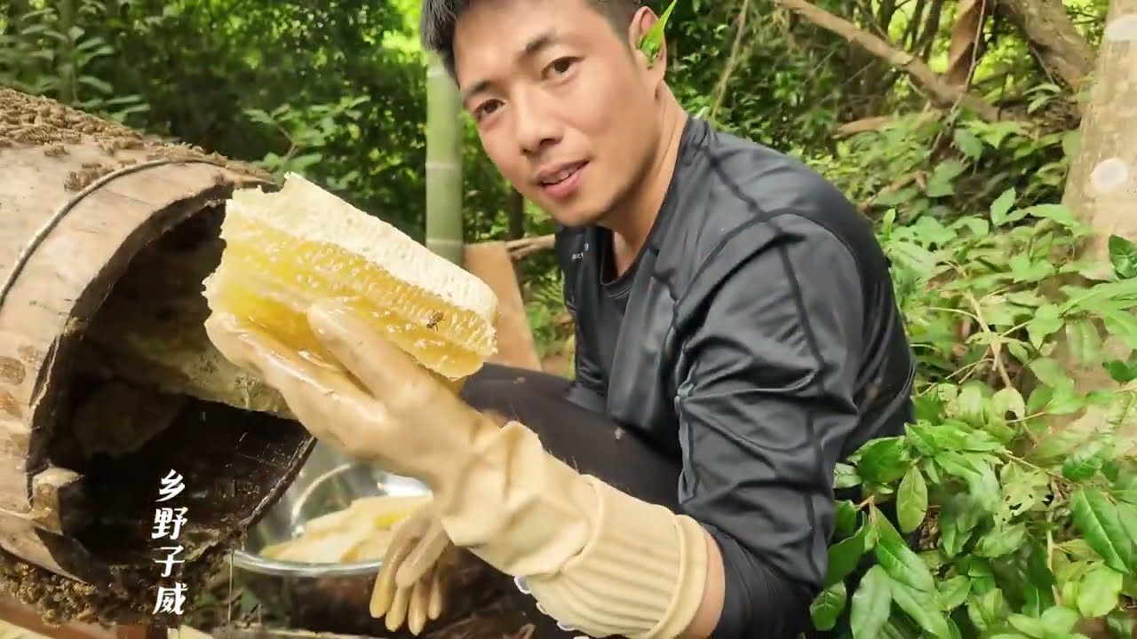 子威上山割蜜不慎摔倒，小蜜蜂大量飞出铺天盖地，幸好收获满满