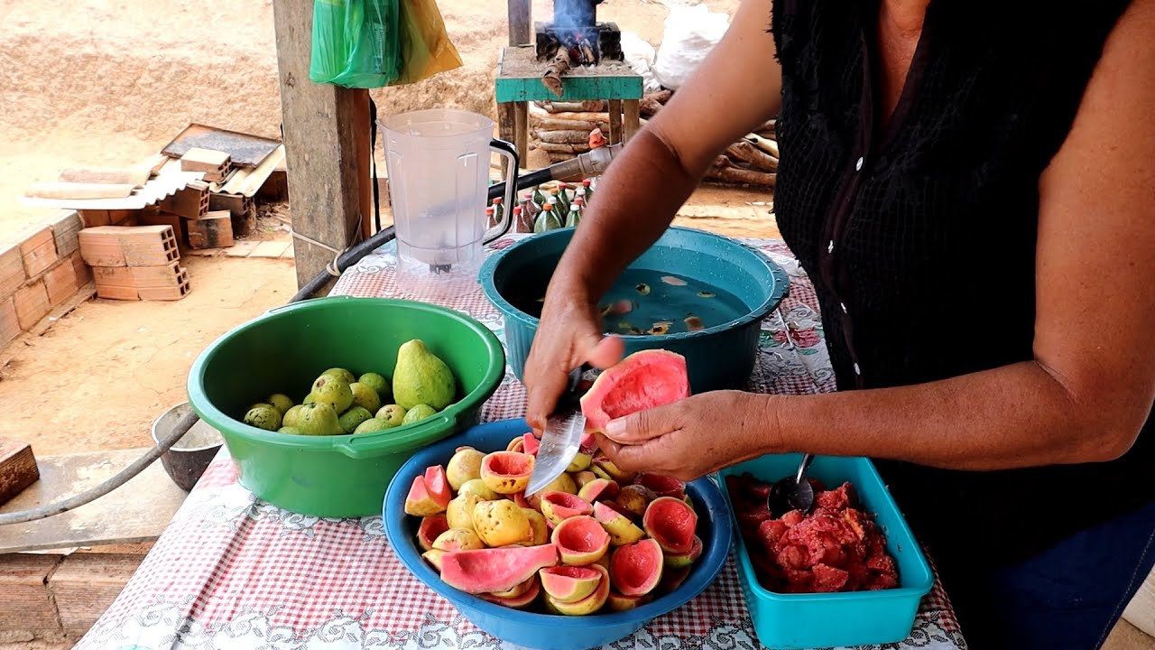 COMO FAZER POLPA DE GOIABA SEM SEMENTE DE FORMA SIMPLES