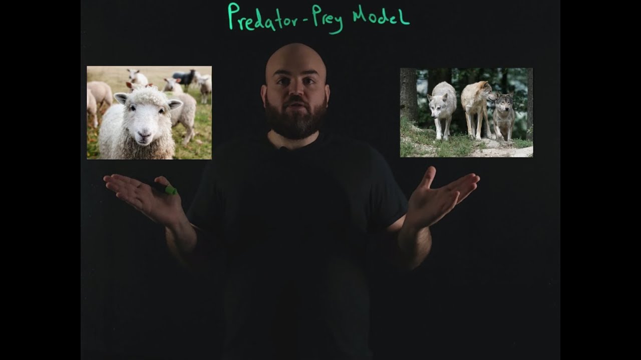 Predator-Prey Model (Lotka–Volterra equations)