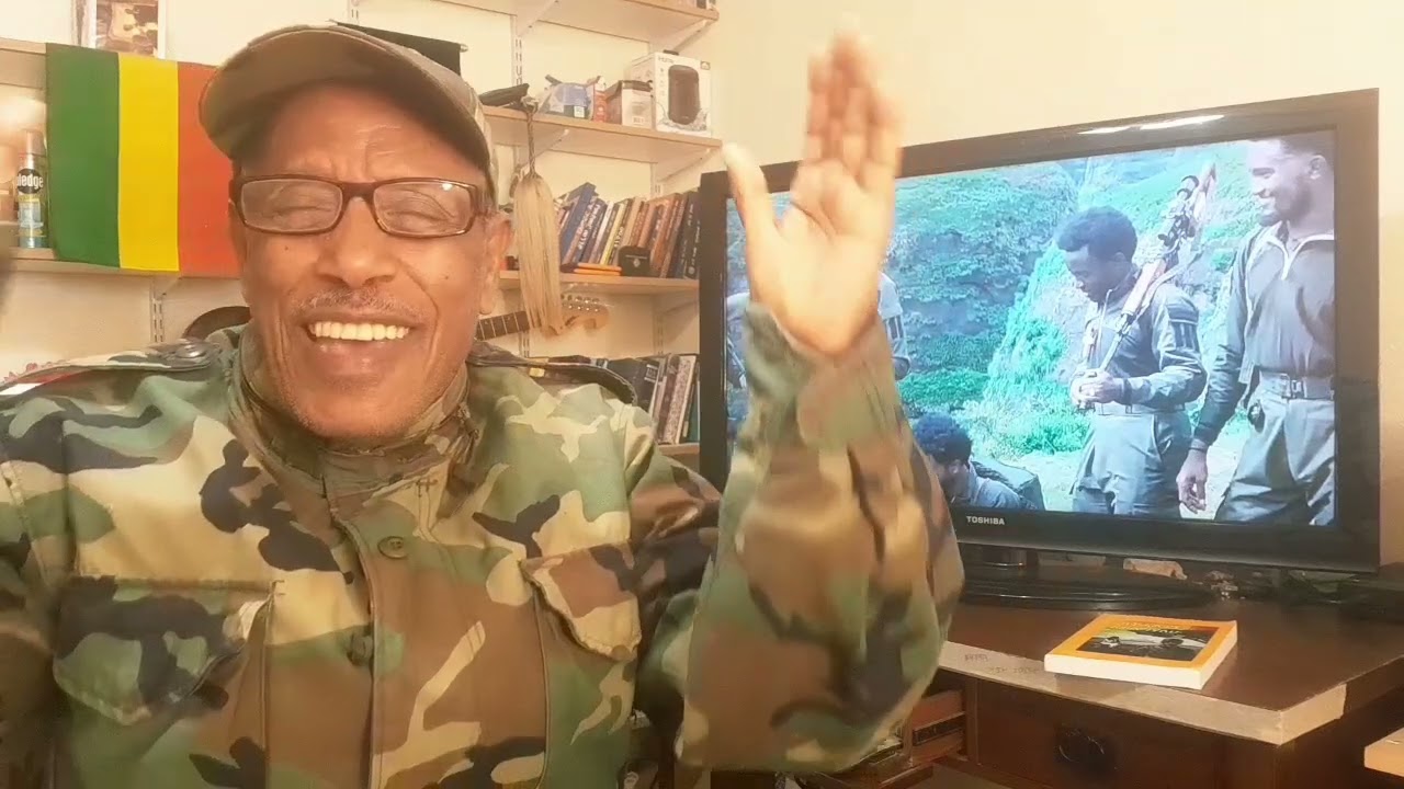 የአውሮፓ ህብረት የአፋር ፋኖ አጕጉሙ የማንዴላ ዘመቻ አቤል ብርሃኑ አለምነህ ዋሴ