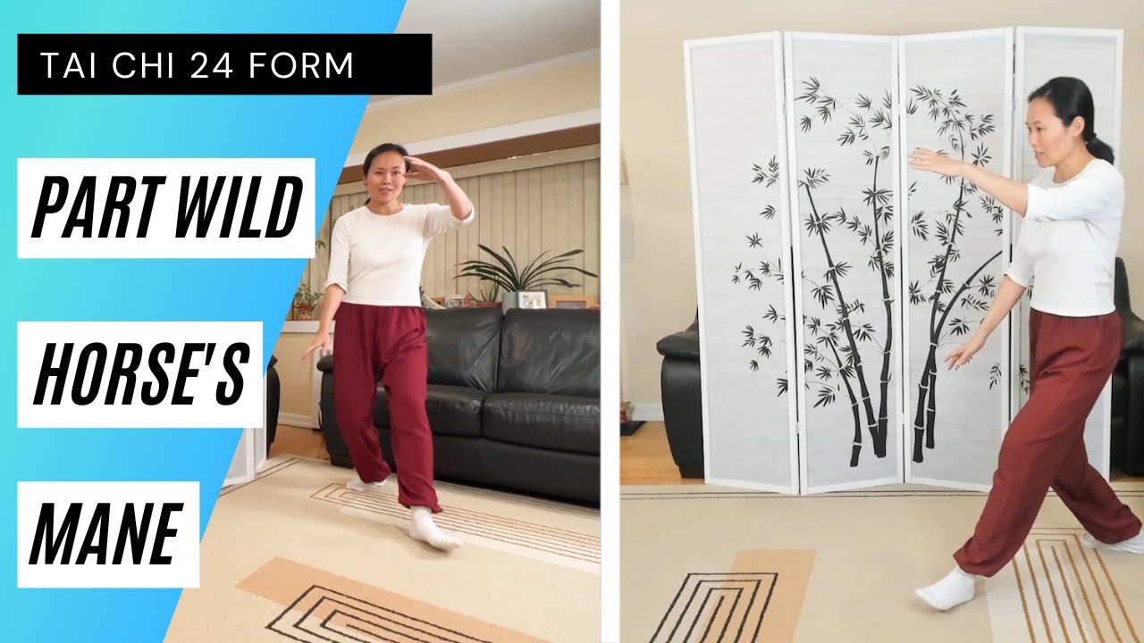 Tai Chi 24 Form - Part the Wild Horse's Mane Step by Step