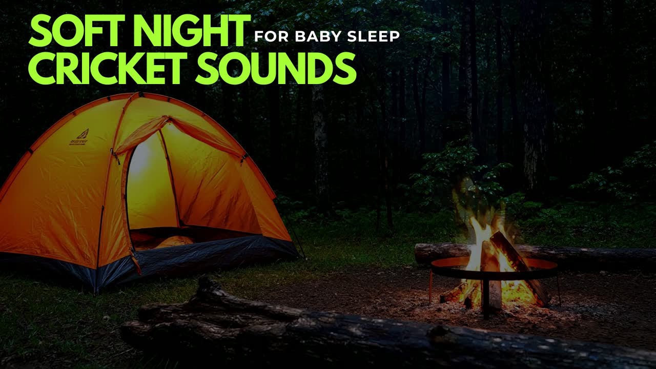 Soft Night Cricket Sounds for Baby Sleep