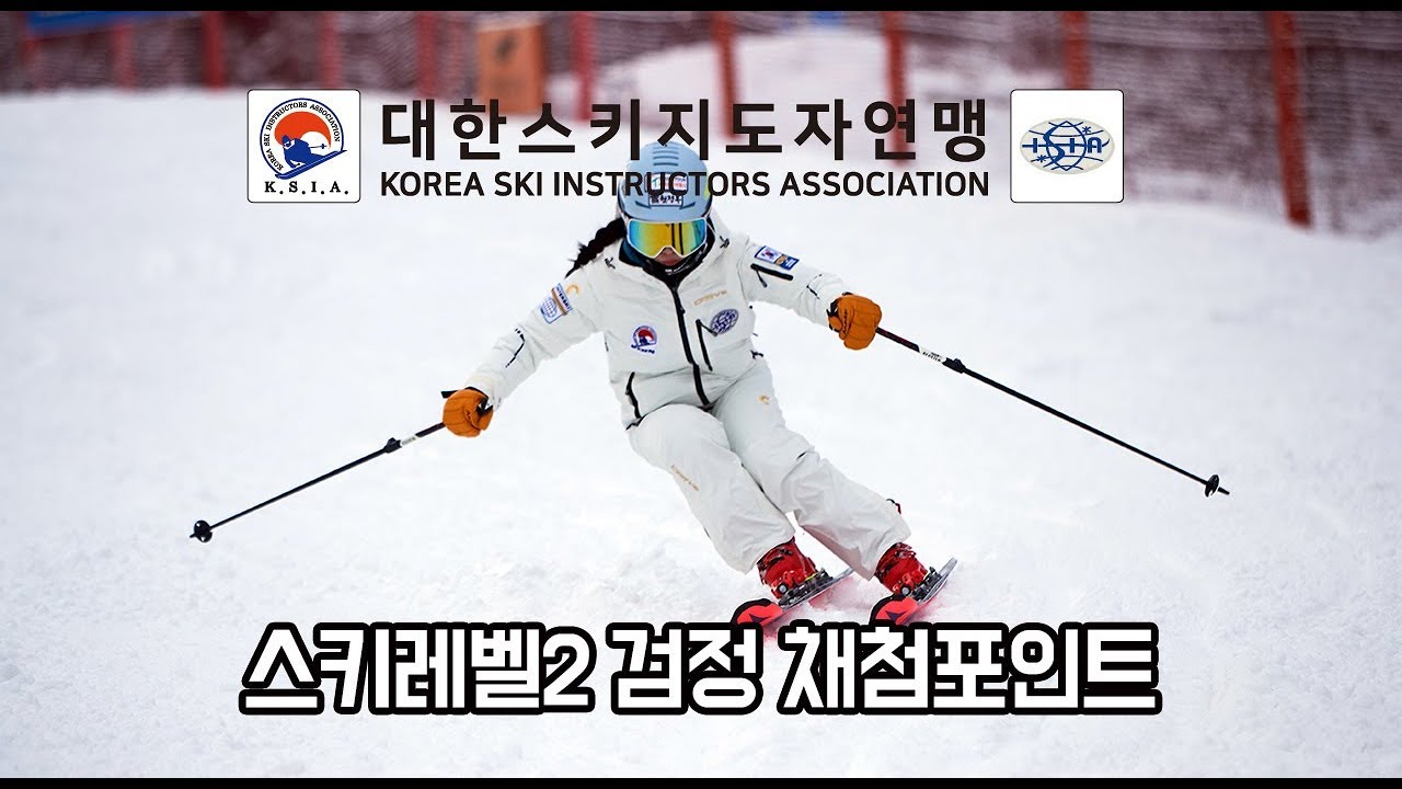 스키레벨2 (Level2) 검정 채점포인트