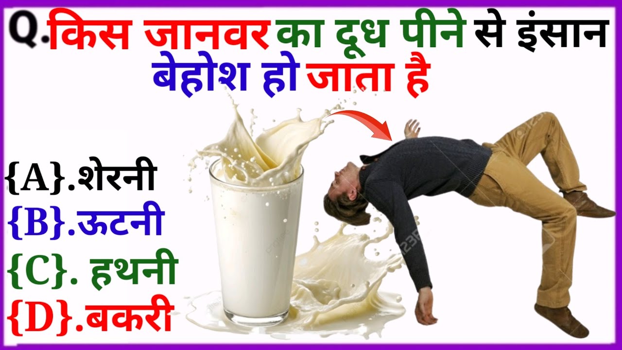 GK Questions || GK In Hindi || GK Questions and Answers || Gk || New Gk
