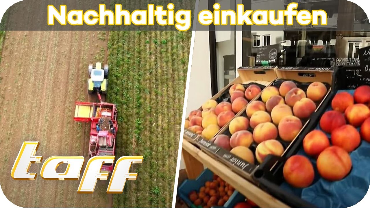 Einkaufen und etwas GUTES tun: Wie geht nachhaltiges Einkaufen? | taff | ProSieben |