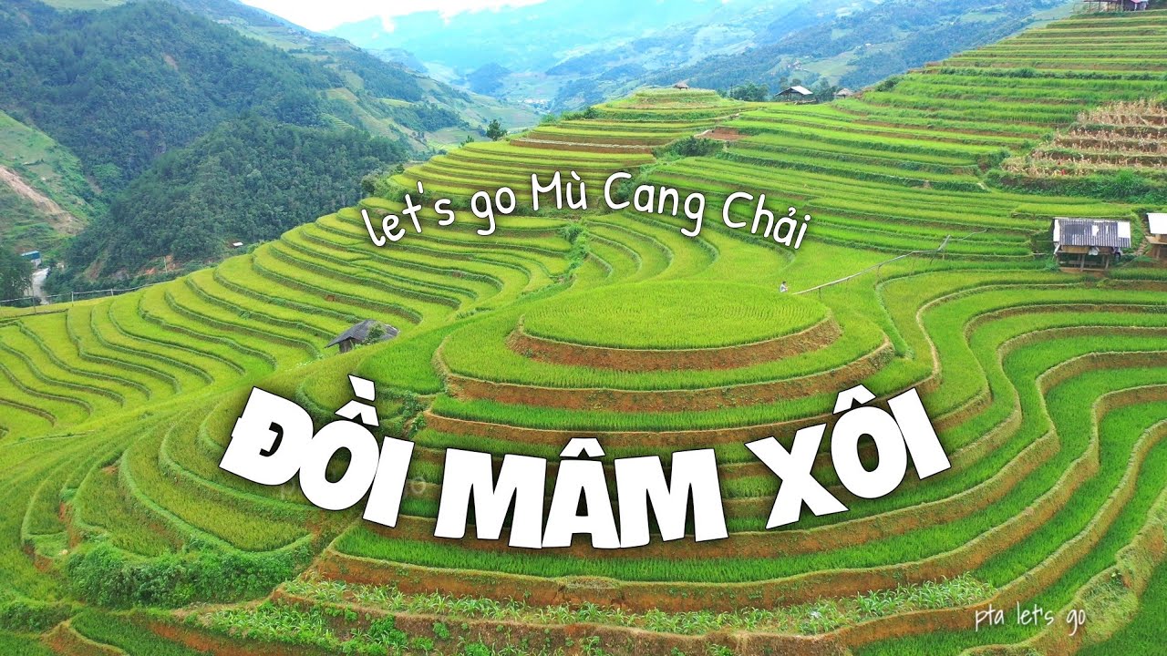 Khám Phá ruộng bậc thang Mâm Xôi Mù Cang Chải / Khám phá vùng cao tây bắc mùa vàng | PTA Let's go