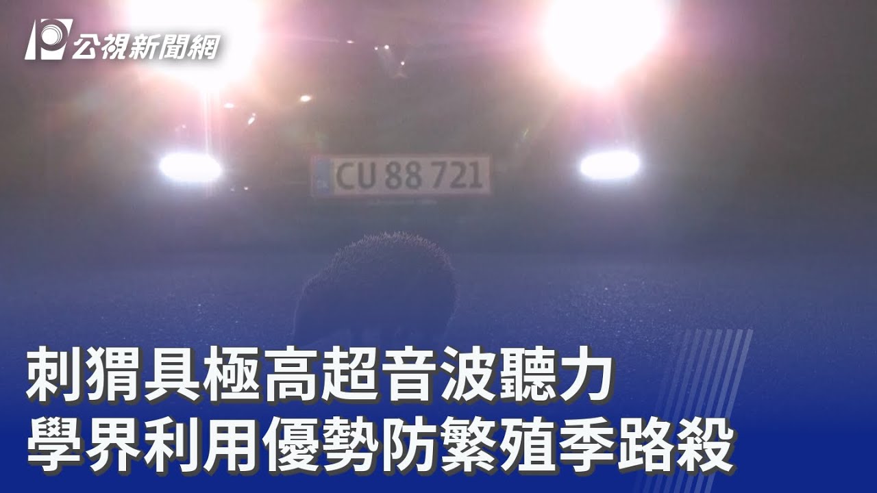 刺猬具極高超音波聽力 學界利用優勢防繁殖季路殺｜20260317 8點新世界