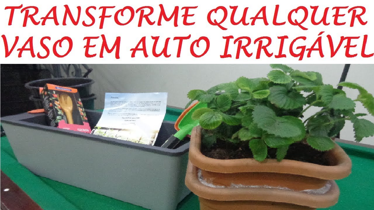 PARE DE REGAR SUAS PLANTAS HOJE MESMO ! MONTE UM VASO AUTO IRRIGÁVEL!