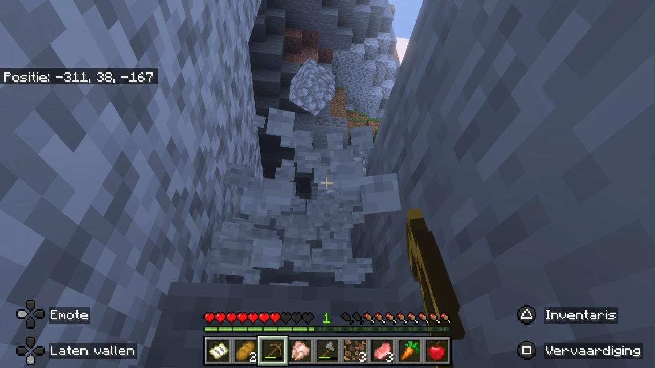 Minecraf survifle