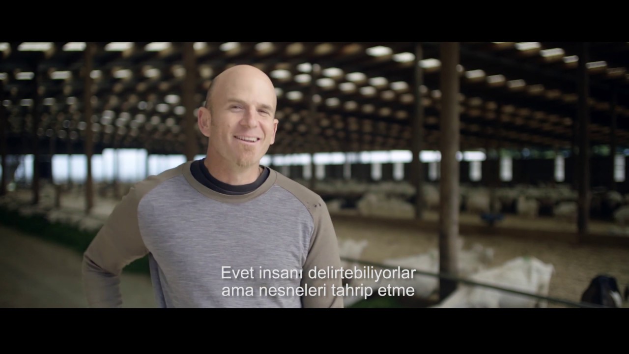 Golden Goat &Ccedil;iftlikte