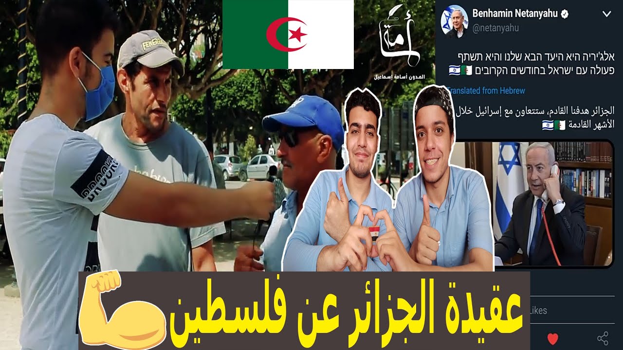 رأي الشعب الجزائري في التطبيع مع الكيان الصهيوني ؟ | ردة فعل مصريين علي الرد القوي والحاسم