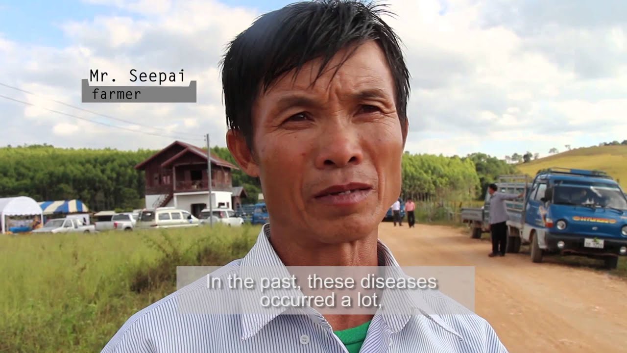 How Lao farmers can benefit from agro-biodiversity in the rice field
