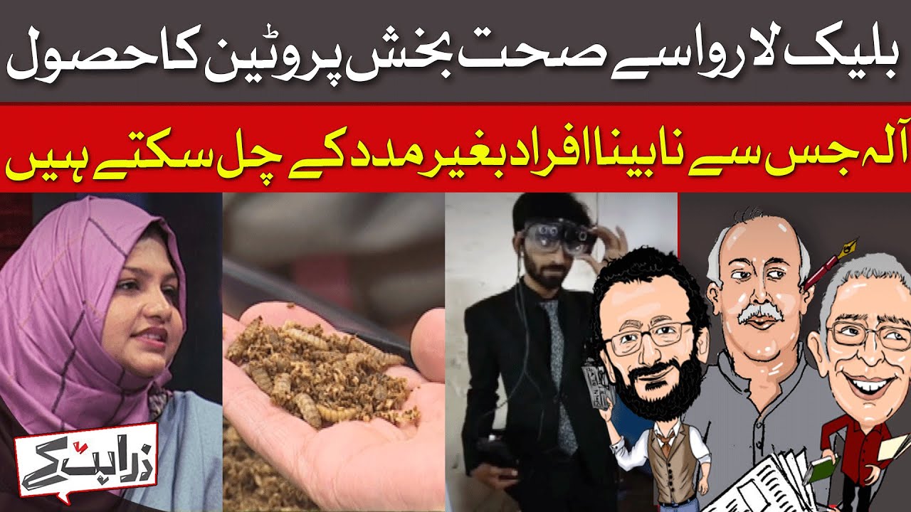 Black Larvae: The Sustainable Protein Superfood? | Zara Hat Kay | Dawn News