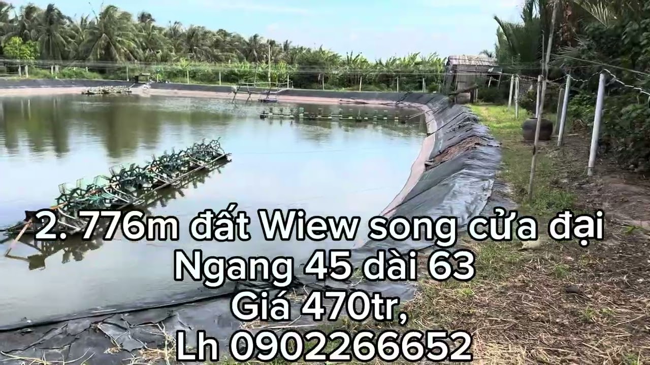 ngày 3 tháng 9, 2025