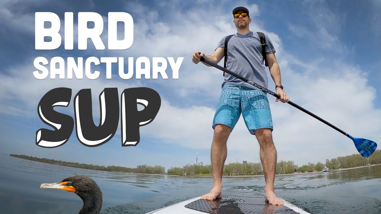 Bird Sanctuary SUP, Toronto! Cherry Beach to Tommy Thompson Park 🍒