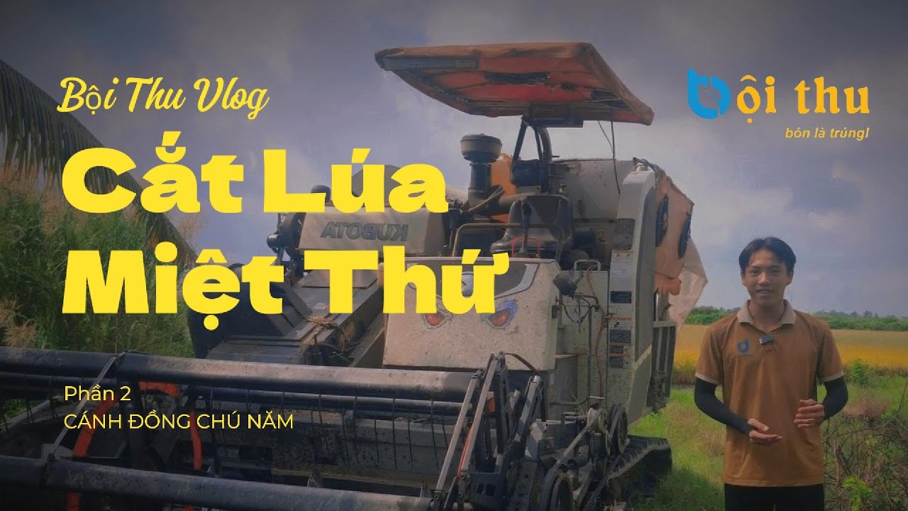 Vlog #2: Thu hoạch lúa cuối năm 2025 cùng Nông Nghiệp Bội Thu
