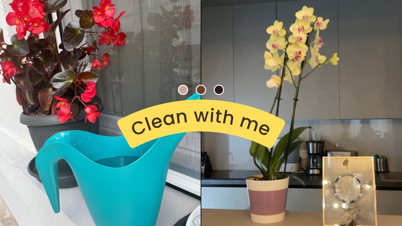 Cleaning routine 🧼 | Πως διατηρώ το σπίτι μου καθαρό