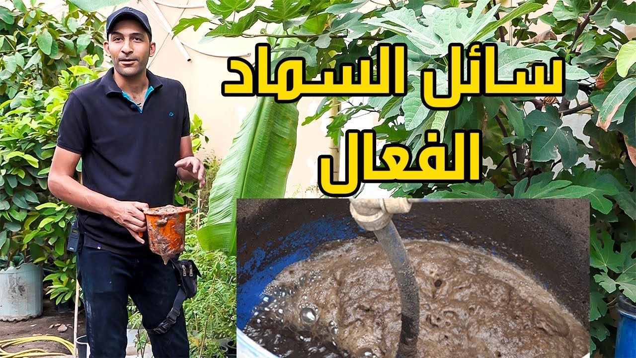 سائل السماد العضوي الفعال compost tea
