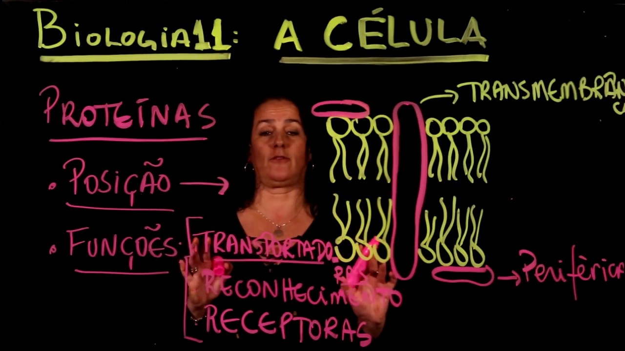 Aula 11 MEMBRANA CELULAR parte 1