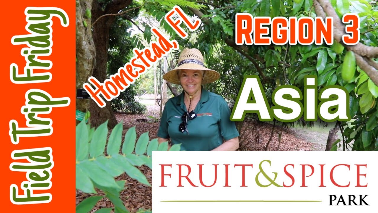 Field Trip Friday- Fruit and Spice Park (Homestead, FL) | Asia