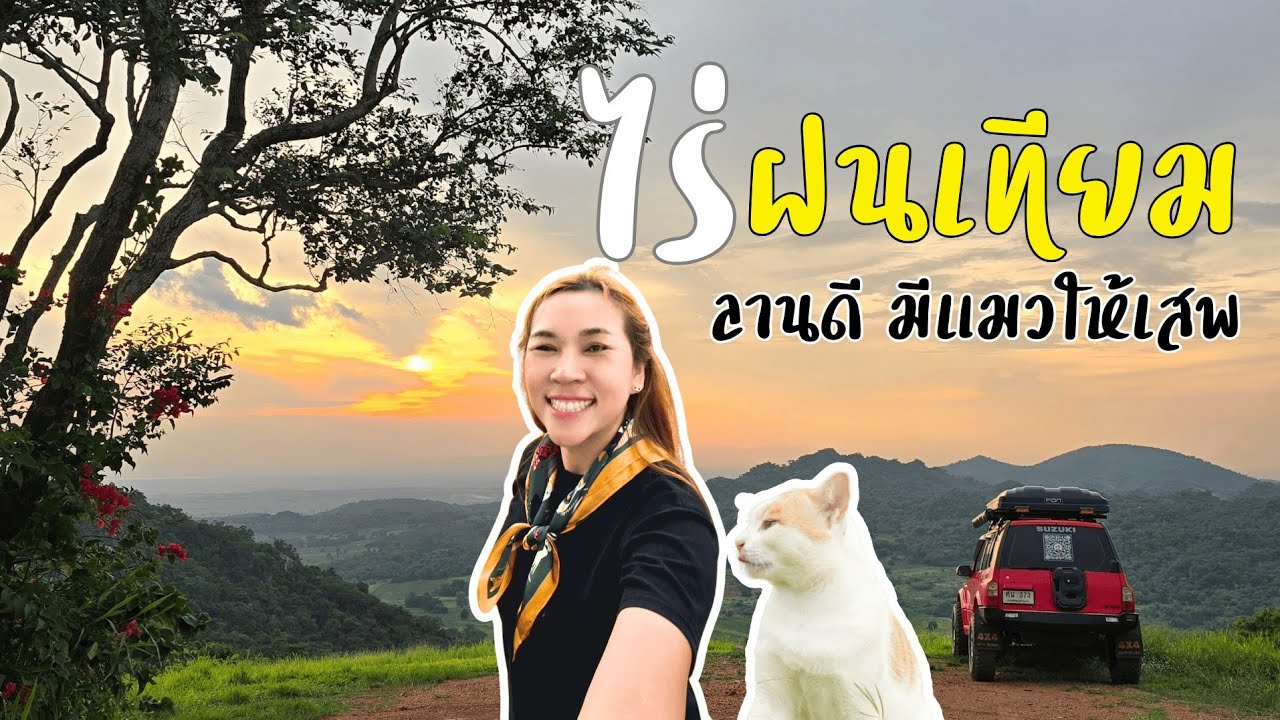 ไร่ฝนเทียม อ.มวกเหล็ก จ.สระบุรี | ค่ากางร้อยแต่วิวล้าน ลานดีมีแมวให้เสพ