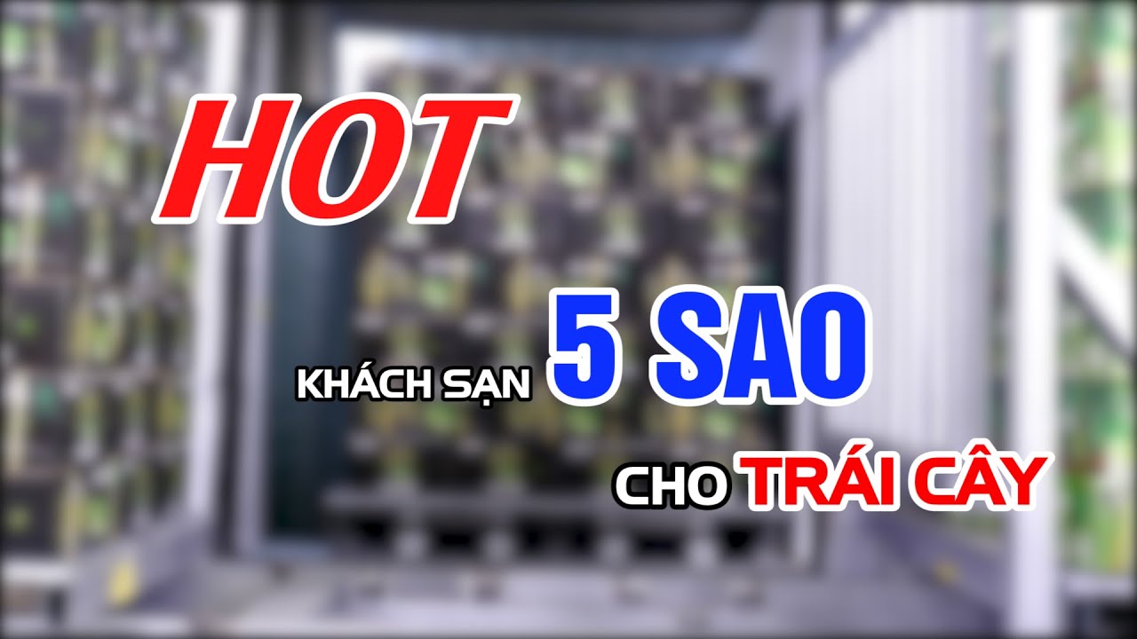 [Hot] – Kho Lạnh Cass Khách Sạn 5 Sao Cho Trái Cây