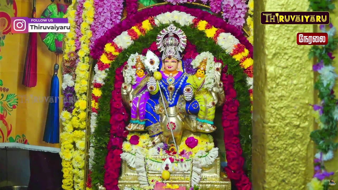 🔴Live: ராமநாதபுரம் ஸ்ரீ வினை தீர்க்கும் வேலவன் ஆலய தைப்பூசம் உற்சவம் | Thaipusam Utsavam