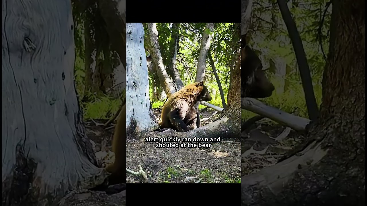The squirrel lost its food.   #animals#wildlife #animal #funny