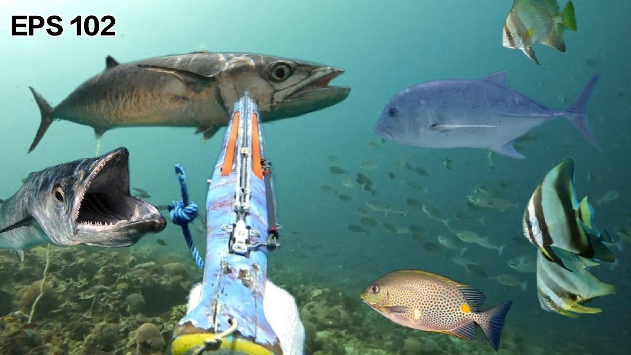 EPS_102 SPEARFISHING INDONESIA SPOT LAUT SERAM BAGIAN BARAT