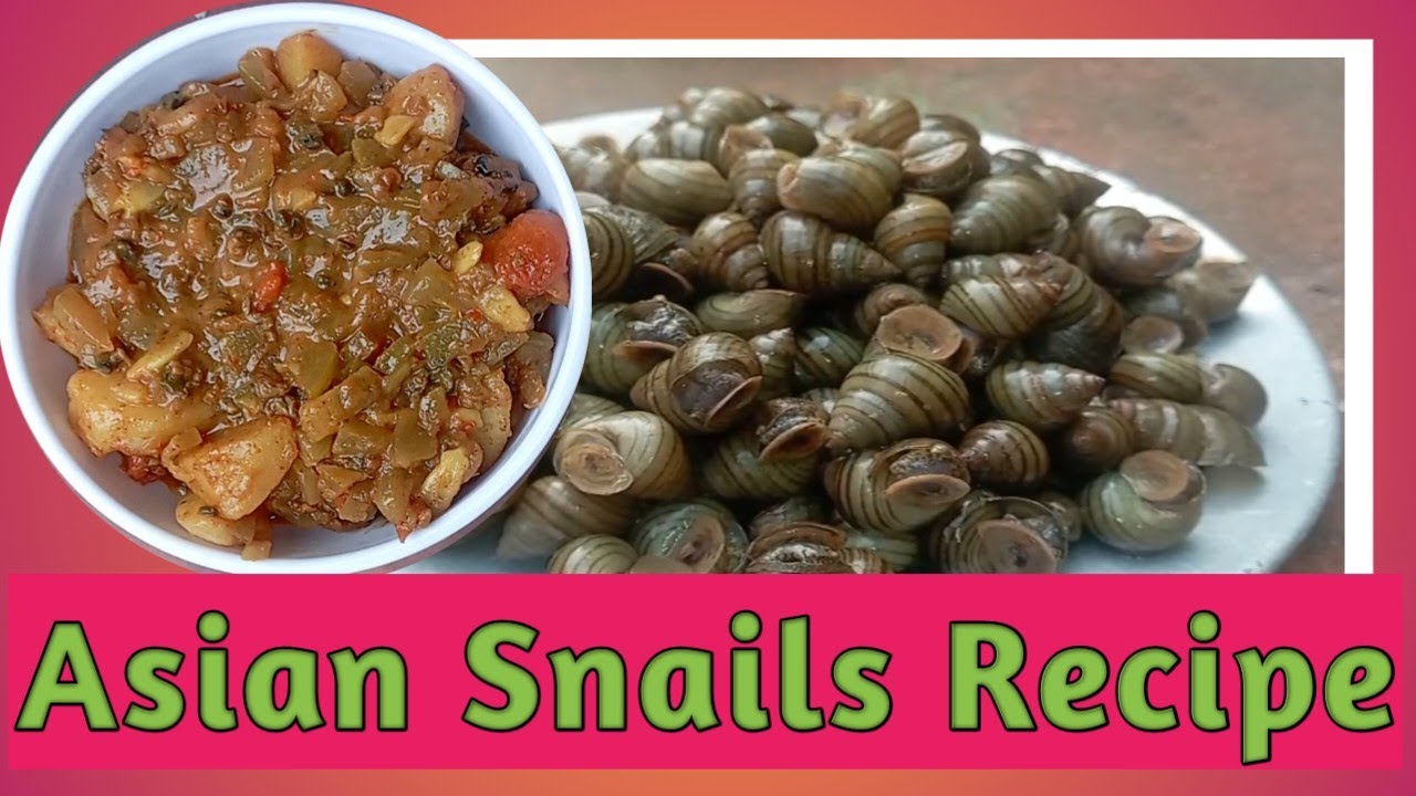  Asian Snails Curry(Recipe) in Village Style@VillageCooking-Ns