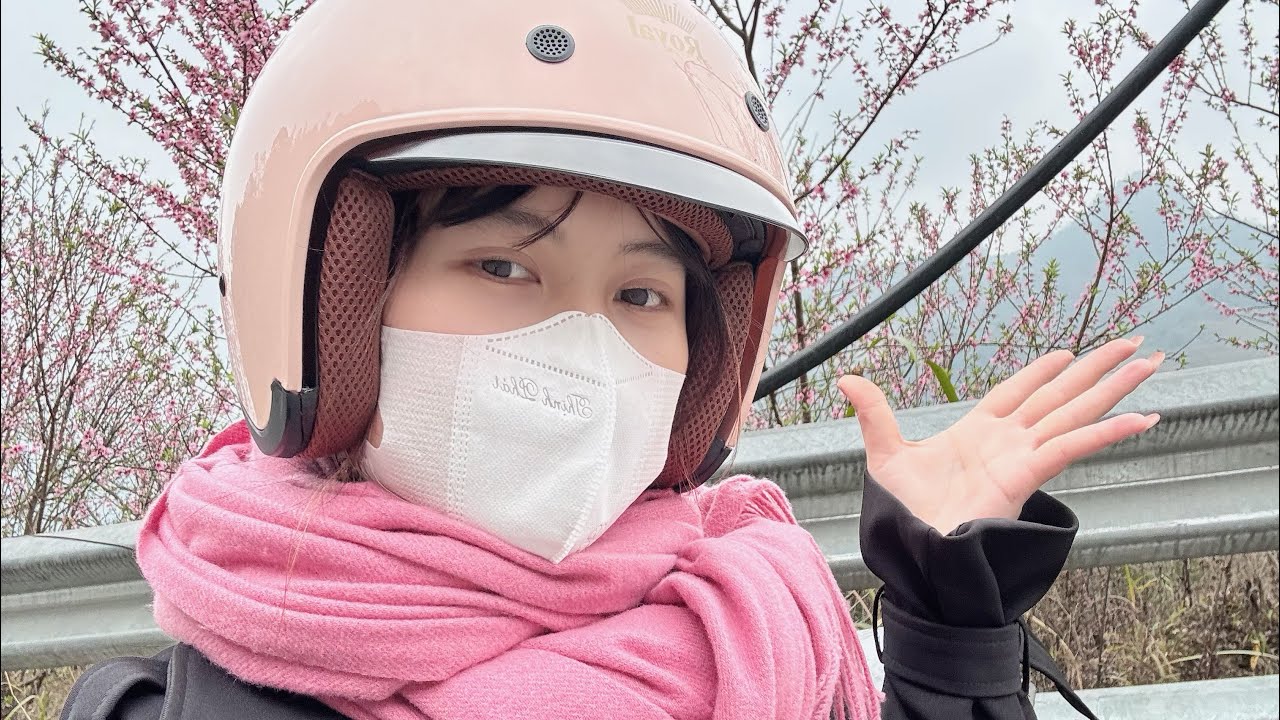 回老家｜今天回老家路邊開了很多桃花真的到新年了嗎｜我還沒有相信。