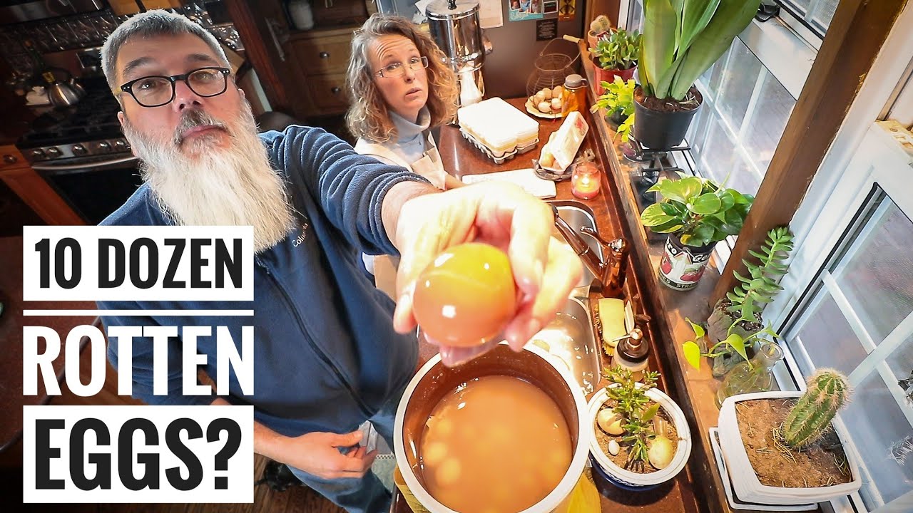 Egg Preservation: Waterglassing | Part 2