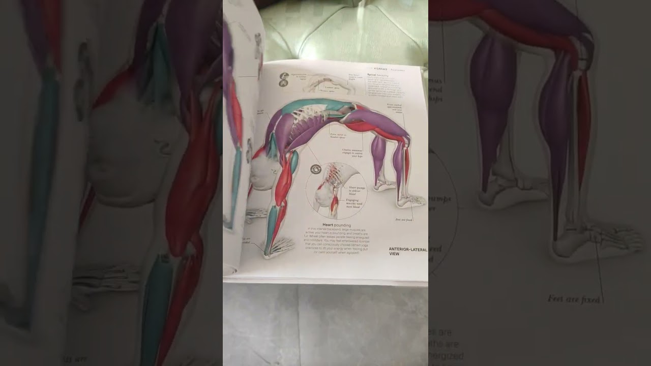 Science of Yoga by #Ann Swanson  #bookreview