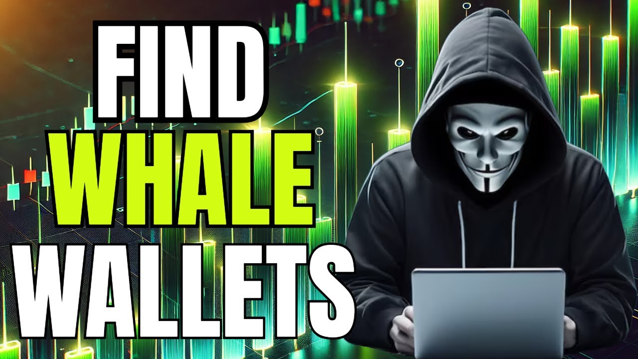 How to Find Whale Wallets in Solana Memecoins and Maximize Gains (100X Potential)!