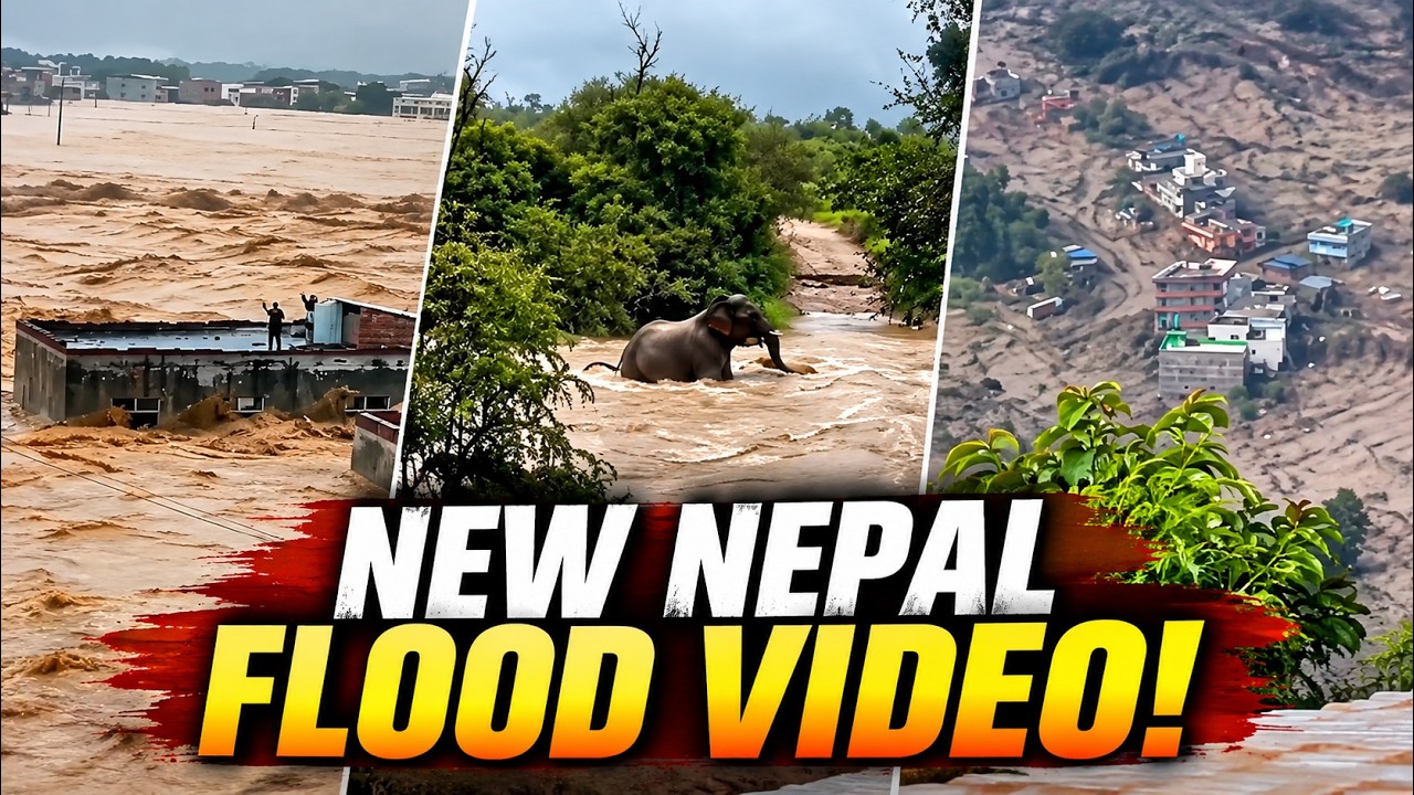 NEW Nepal Flood Video Emerges! Dramatic Rescue, Flood Aftermath & Elephant Footage | Latest Update