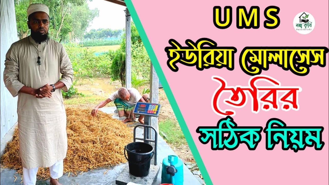 U M S ইউরিয়া মোলাসেস তৈরির নিয়ম | Naya Krishi
