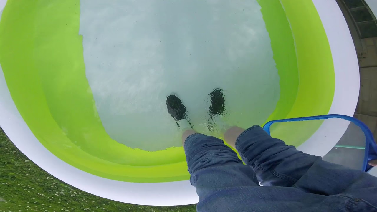 wet Vans