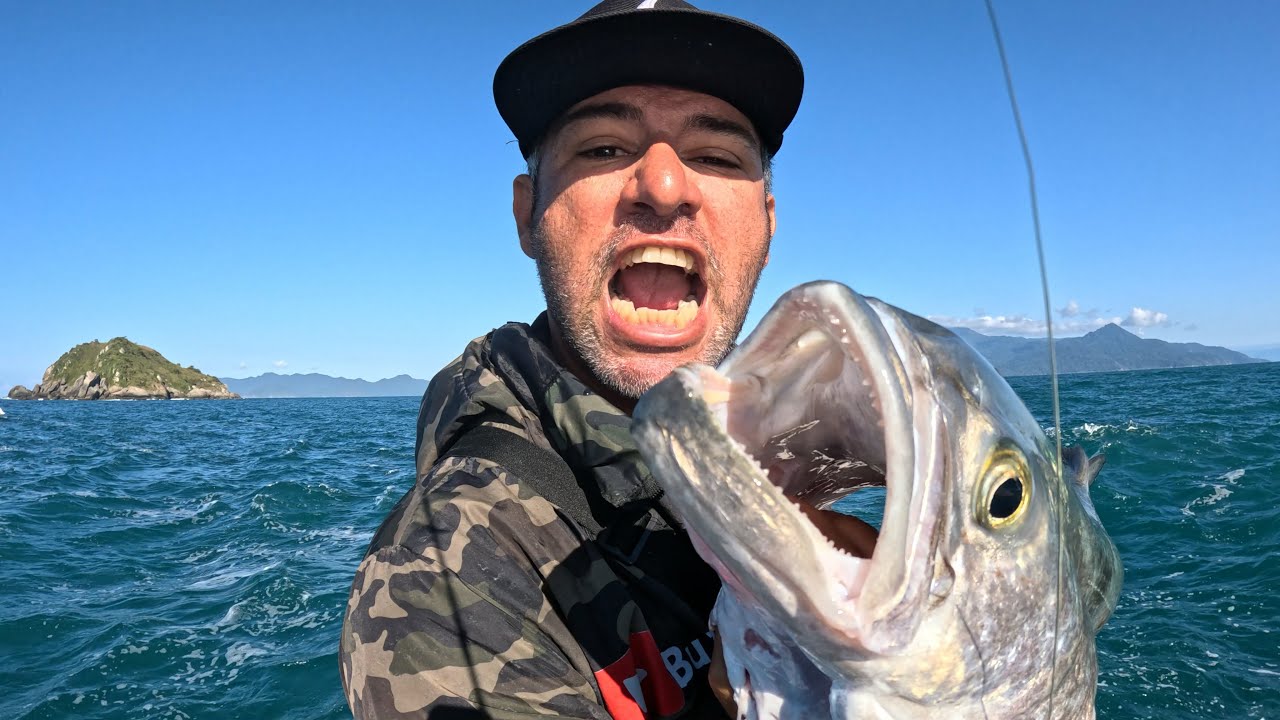 Cardume de anchovas ataca pescadores em Ilhabela, vc não pode perder essa (buzyfish) 