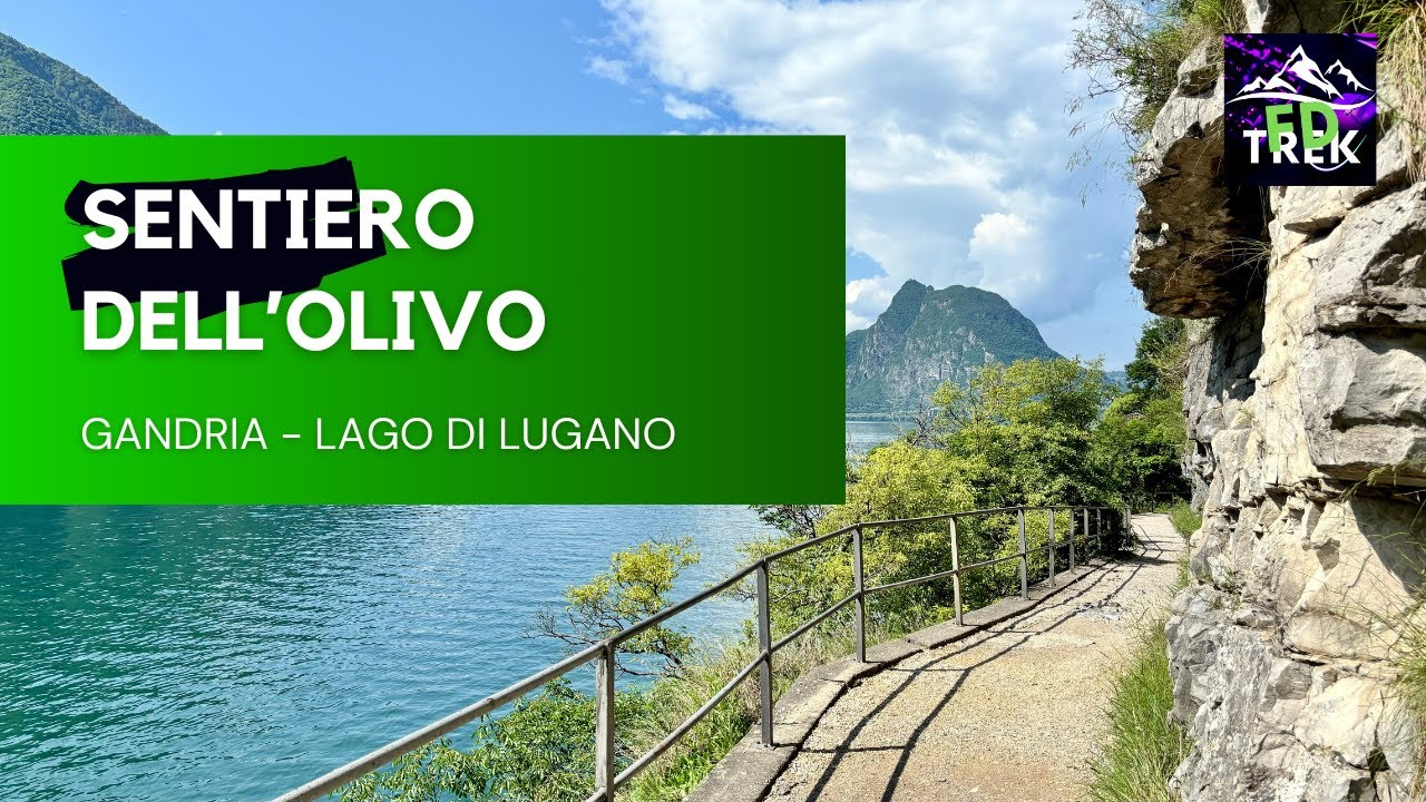 Sentiero dell' Olivo, Gandria - Castagnola, Trekking Svizzera Lago di Lugano