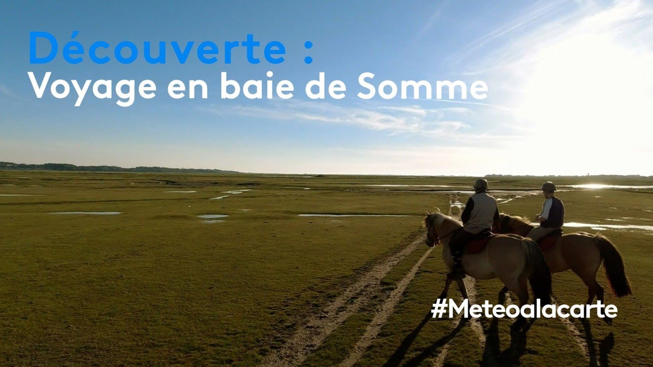 Découverte : voyage en baie de Somme
