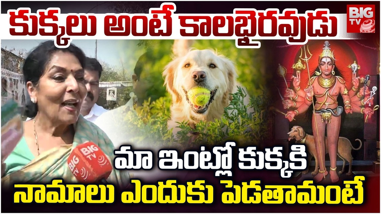 Ex MP Renuka Chowdhury : మా ఇంట్లో కుక్కకి నామాలు ఎందుకు పెడతామంటే | BIGTV