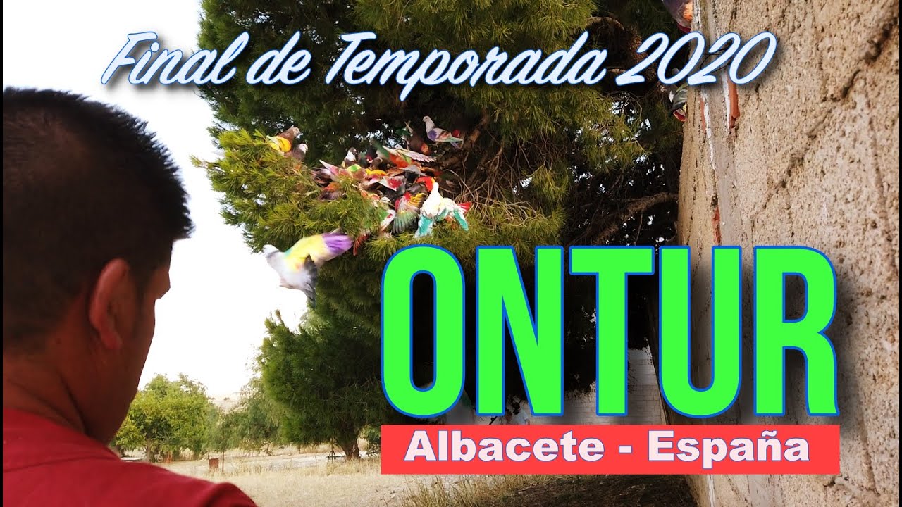 Palomos Deportivos. Final de Temporada Ontur (Albacete) 2020 🇪🇸🇪🇸