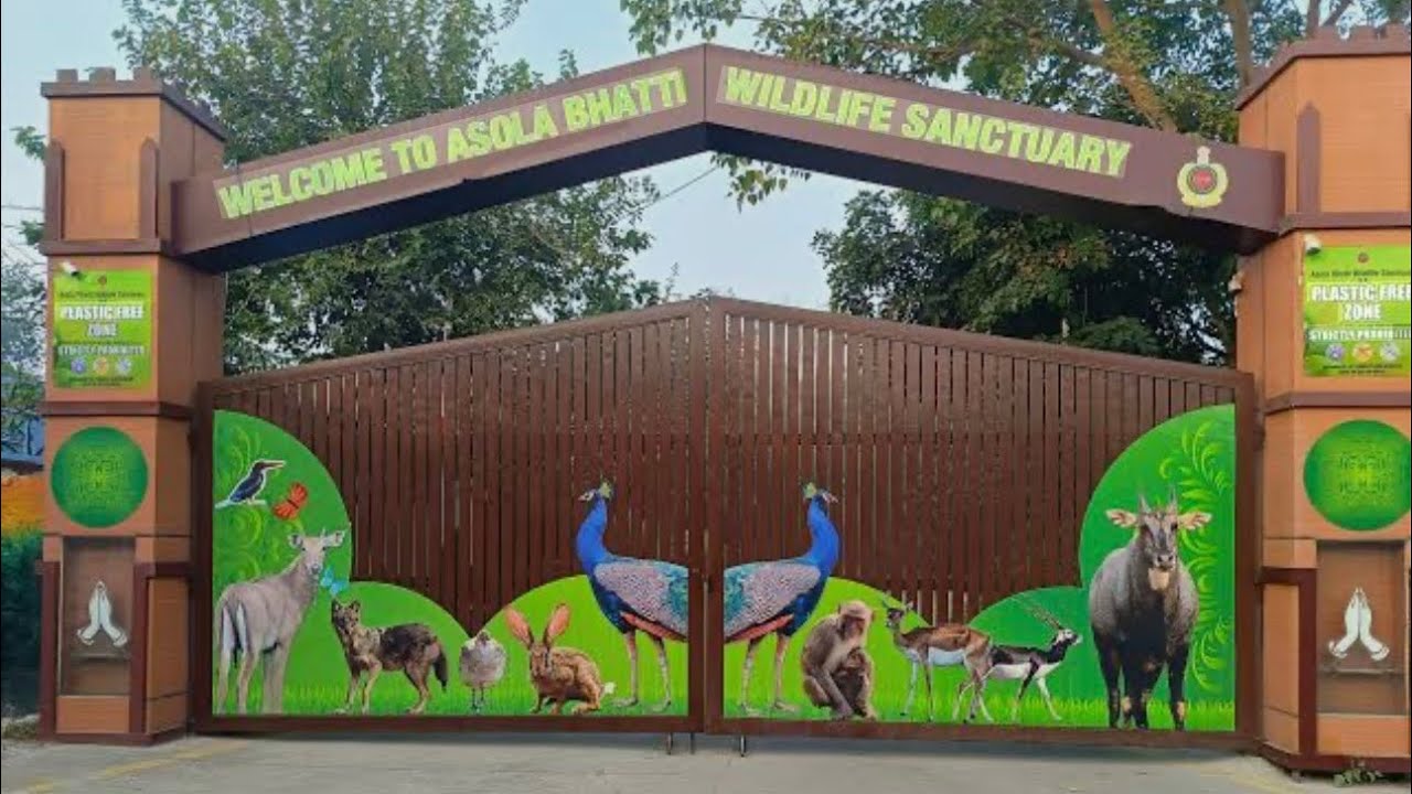 Asola Bhatti Wildlife Sanctuary, Tughlakabad, Suraj Kund🦚🪴