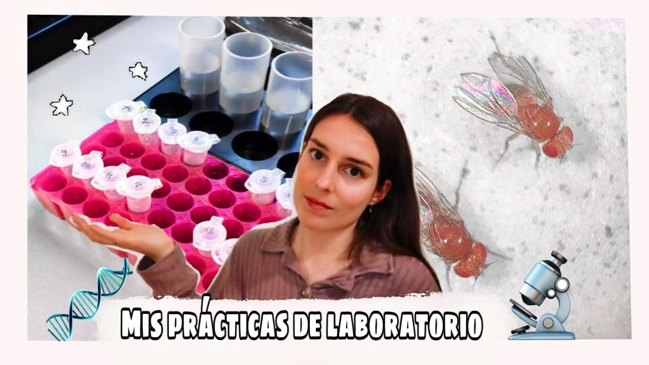 ¿Cómo es  TRABAJAR EN UN LABORATORIO 🔬?| EXPERIENCIA EN EL EXTRANJERO y TFG