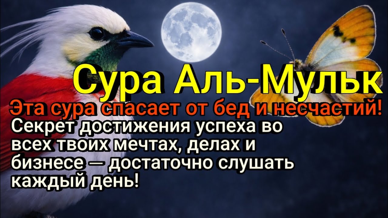Король денег — разве не этого ты хочешь? Достигни этого, просто слушая суру Аль-Мульк каждый день!