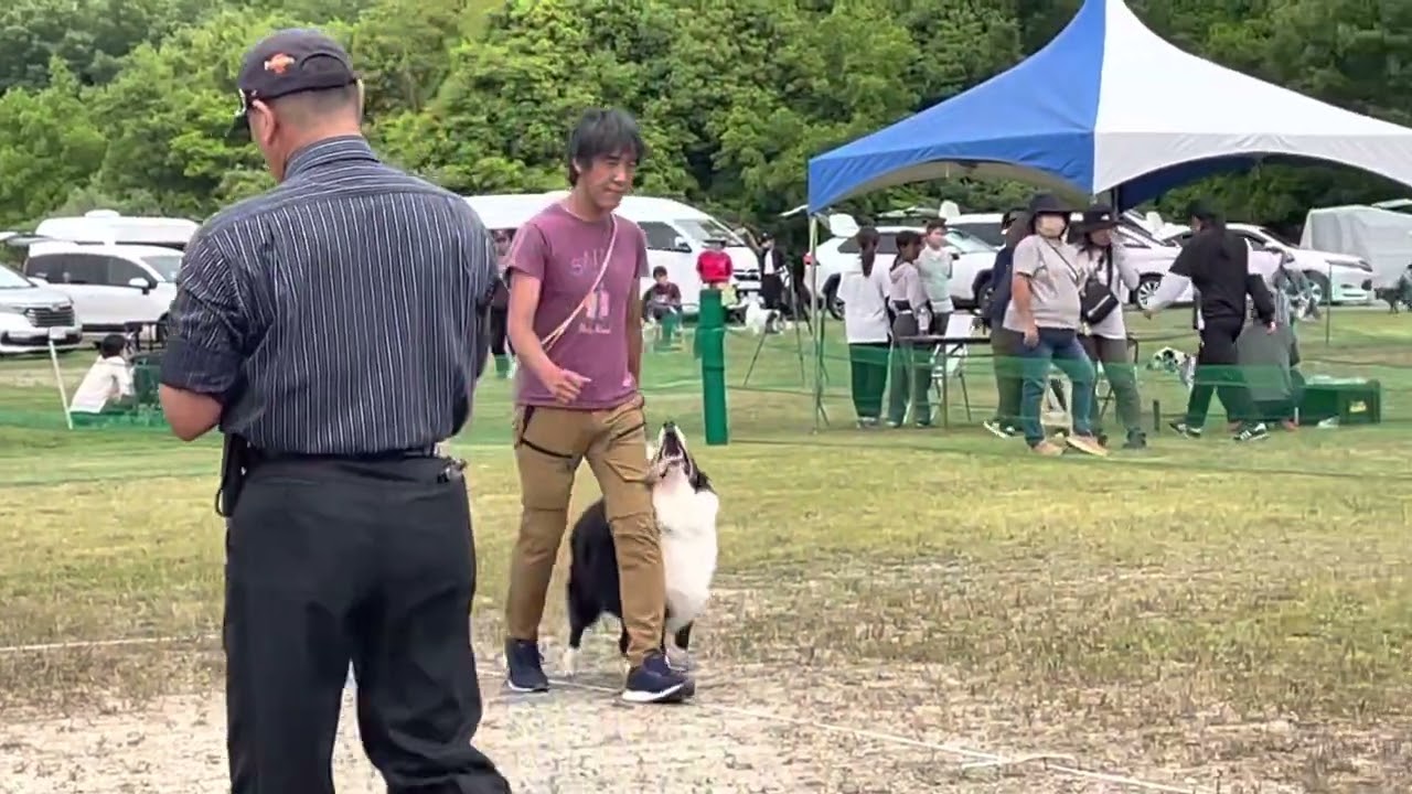 ＪＫＣ四国ブロック訓練競技会